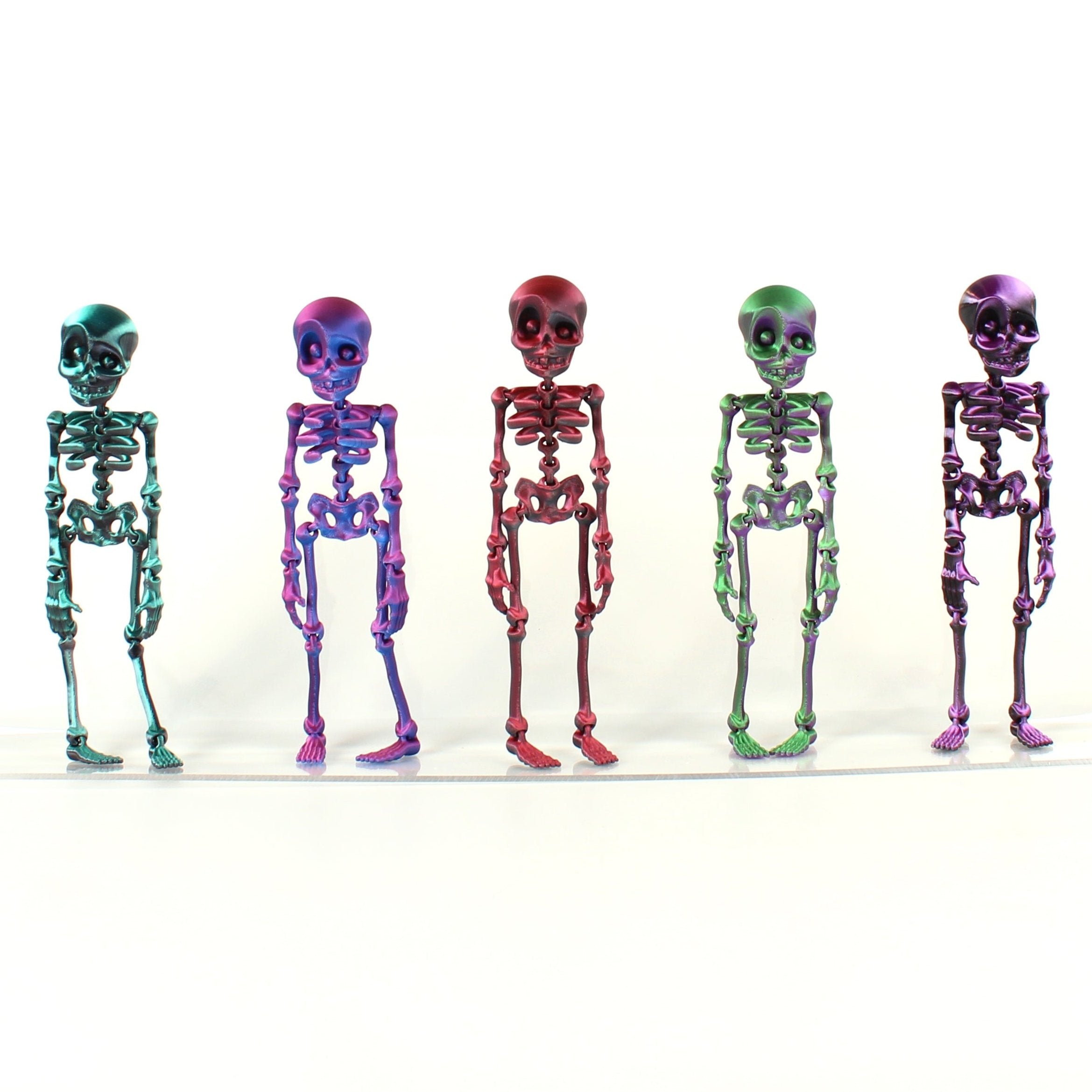 Skeledude Fidget & Magnet