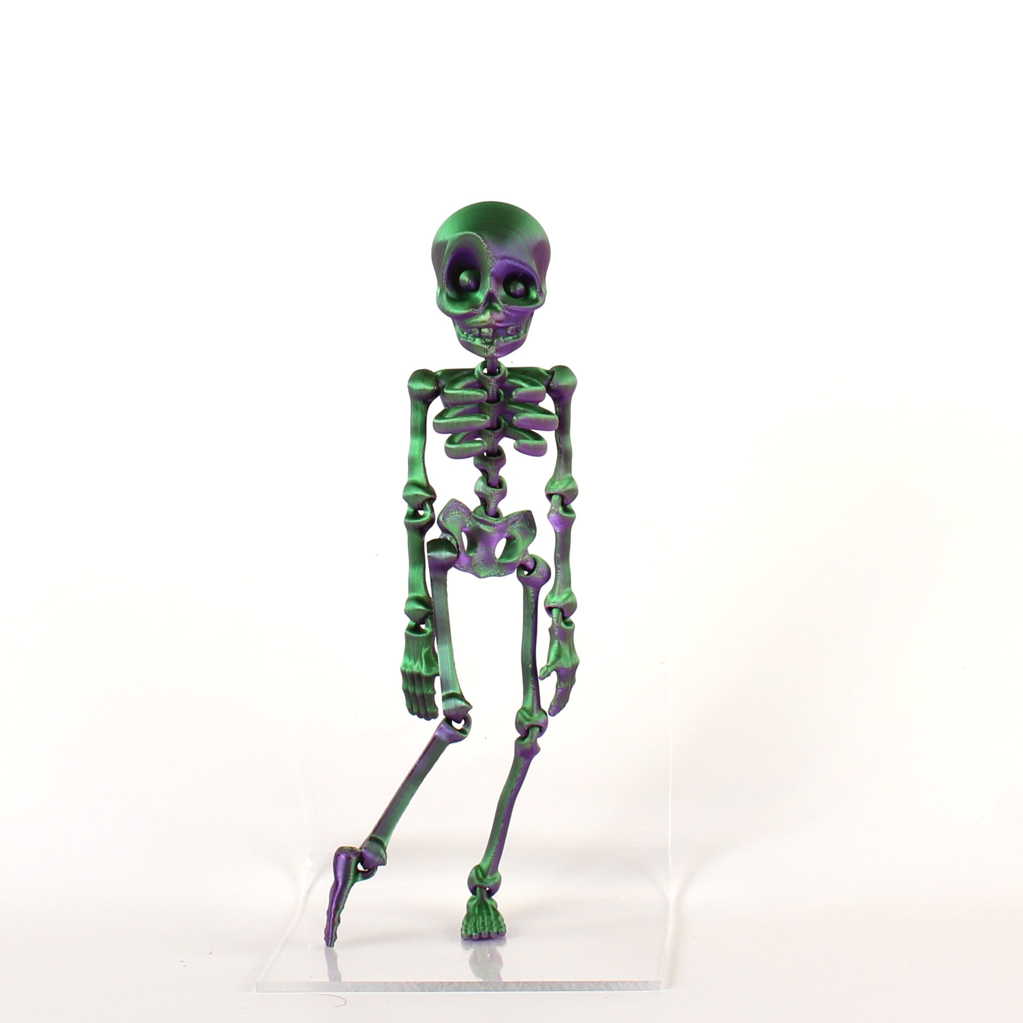 Skeledude Fidget & Magnet