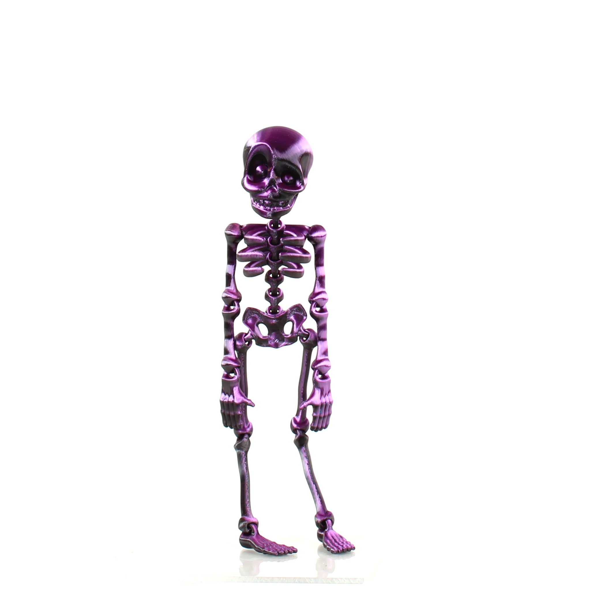 Skeledude Fidget & Magnet