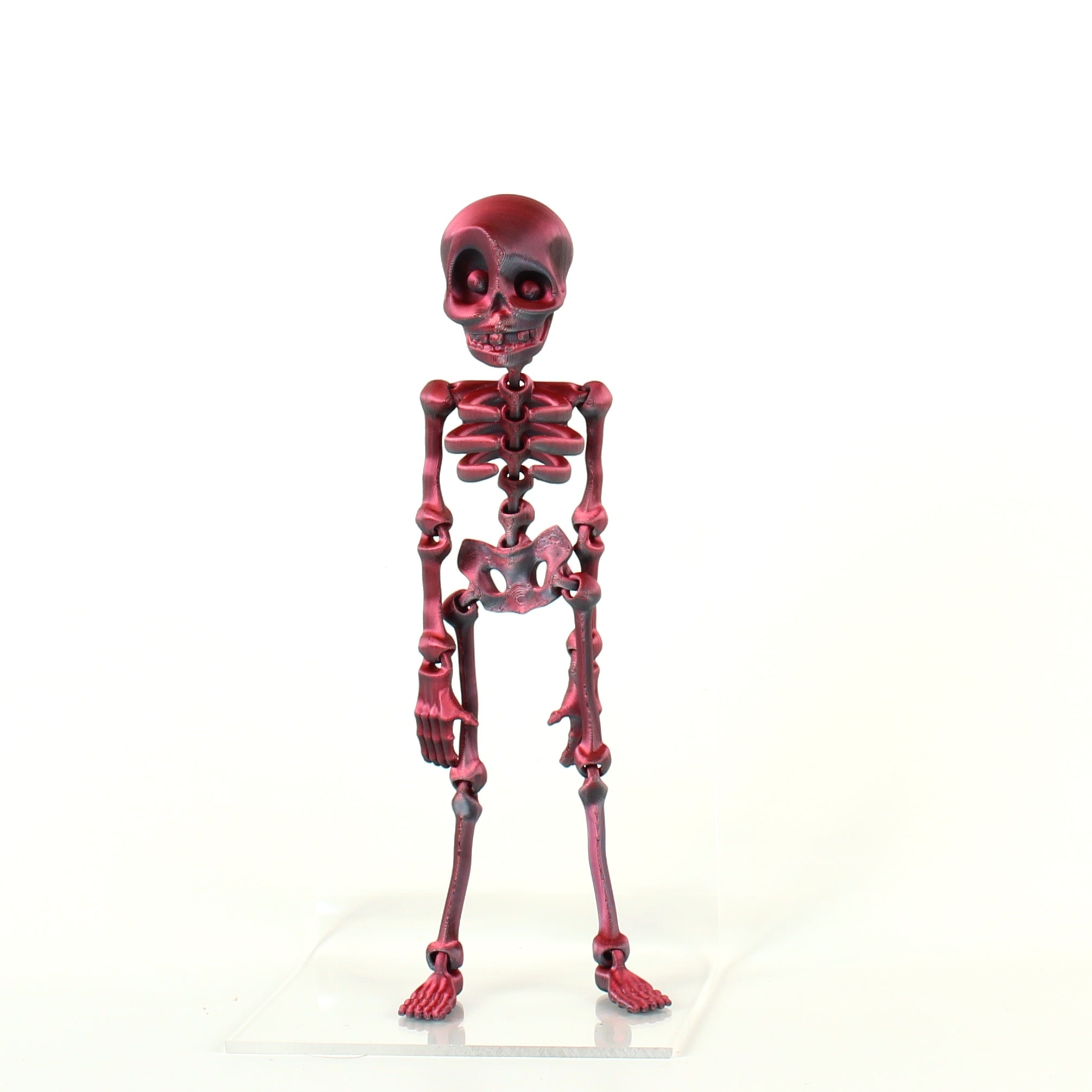 Skeledude Fidget & Magnet
