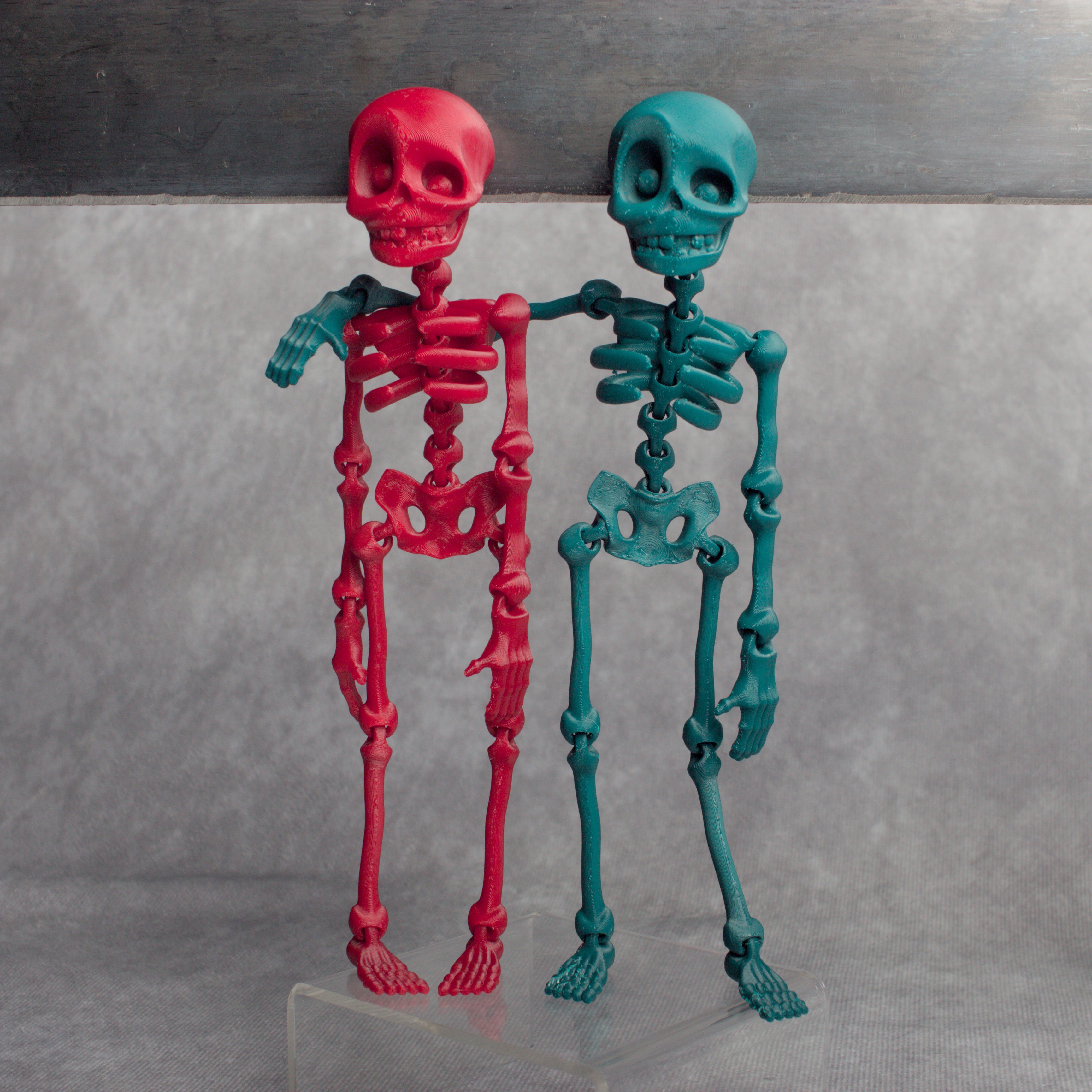 Skeledude Fidget & Magnet