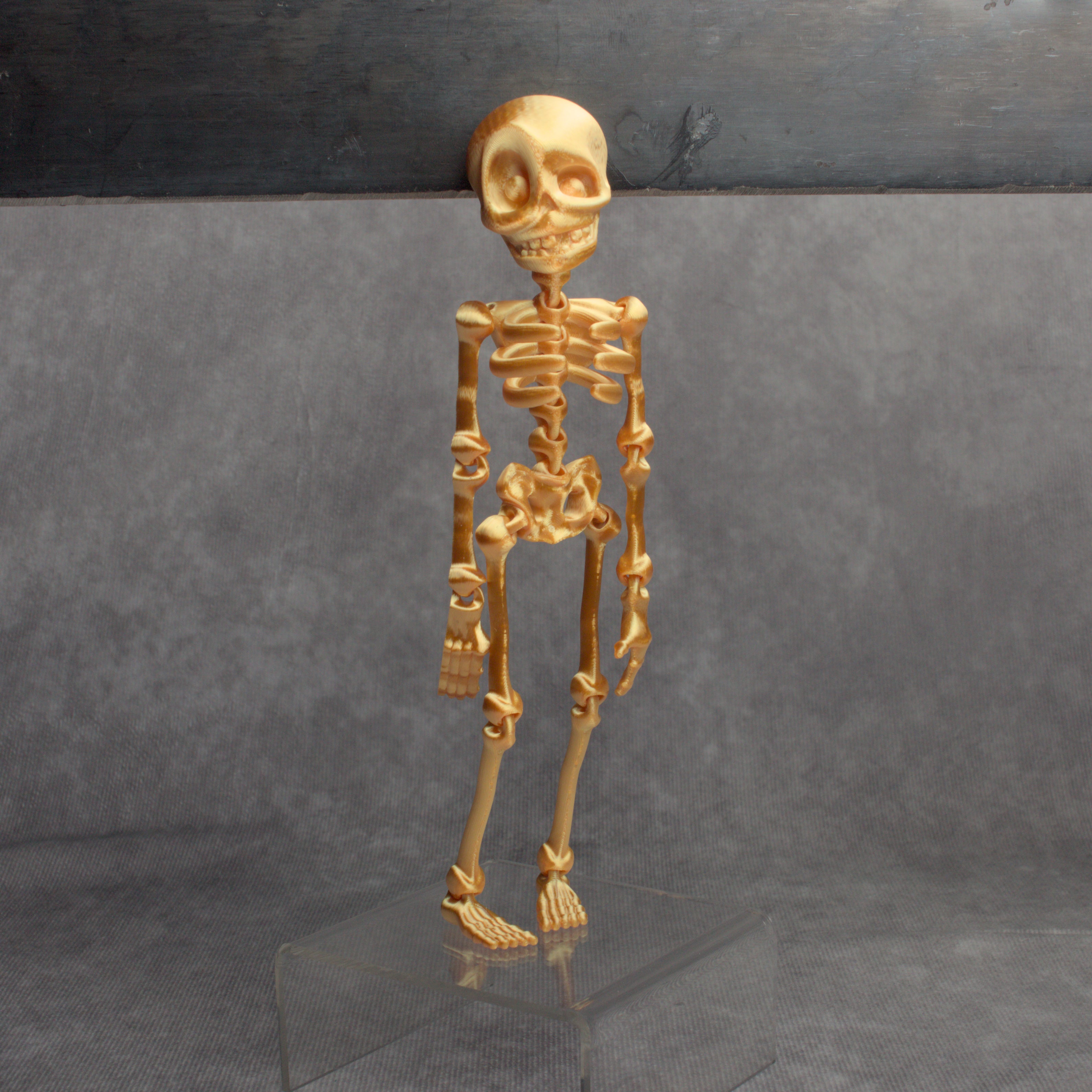 Skeledude Fidget & Magnet