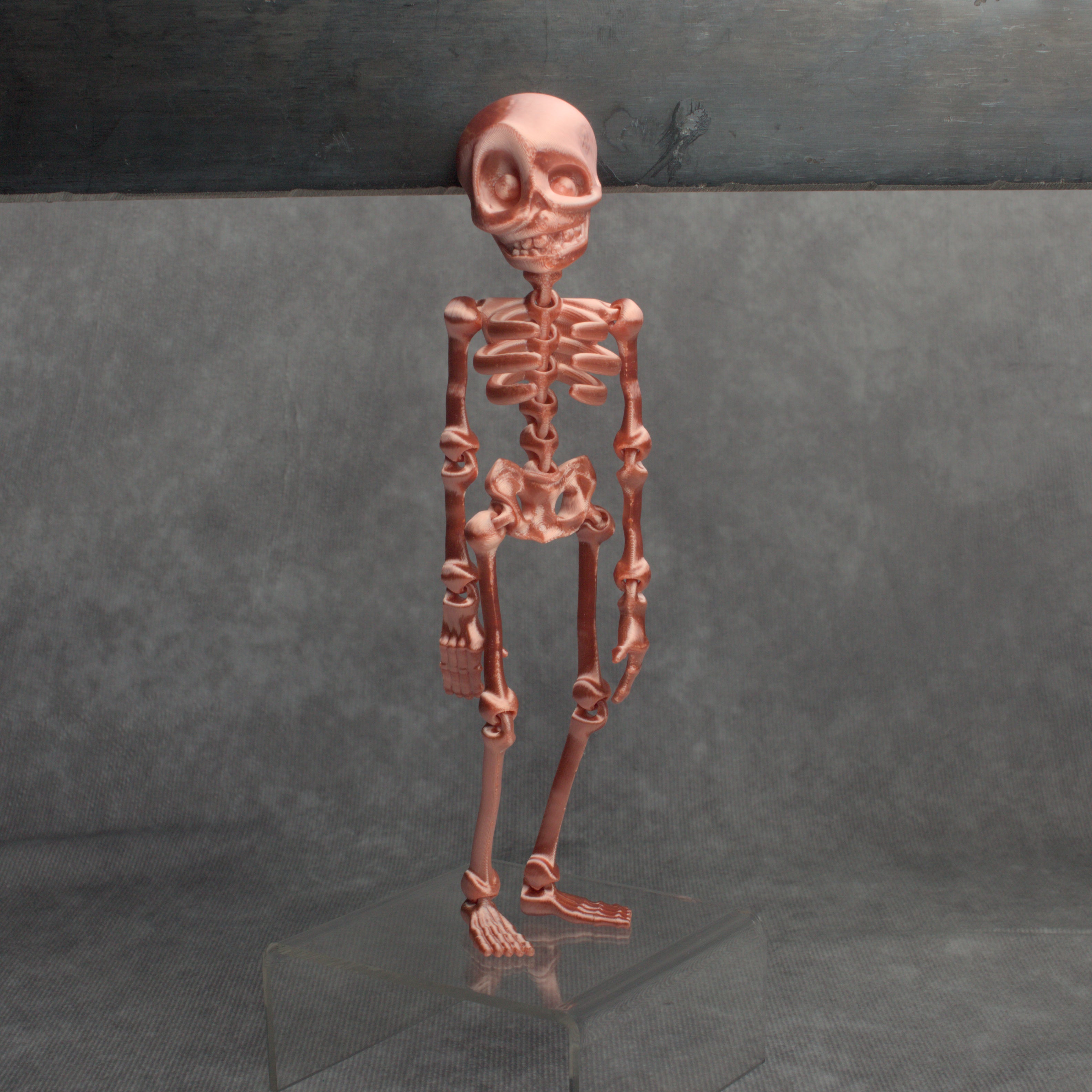 Skeledude Fidget & Magnet