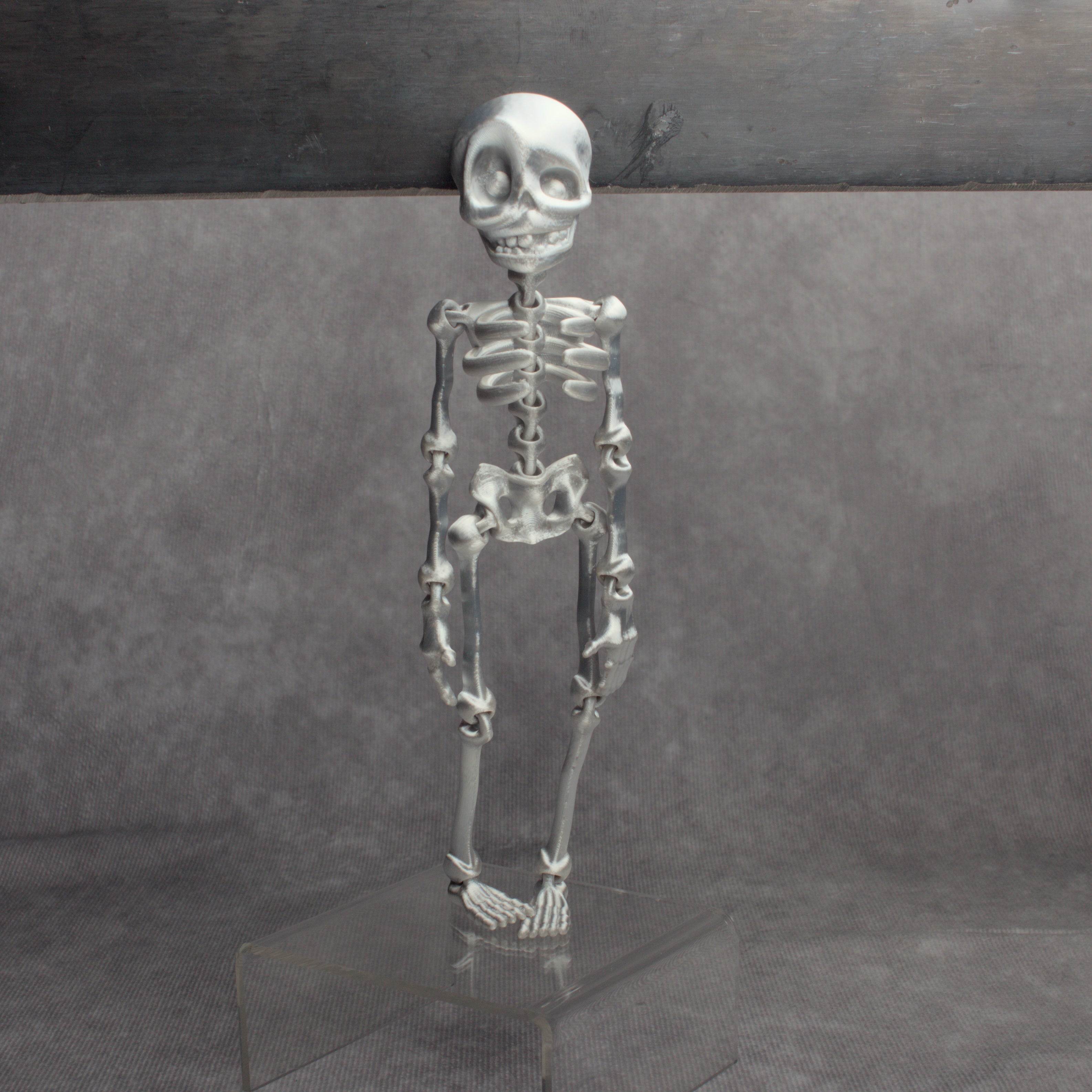 Skeledude Fidget & Magnet