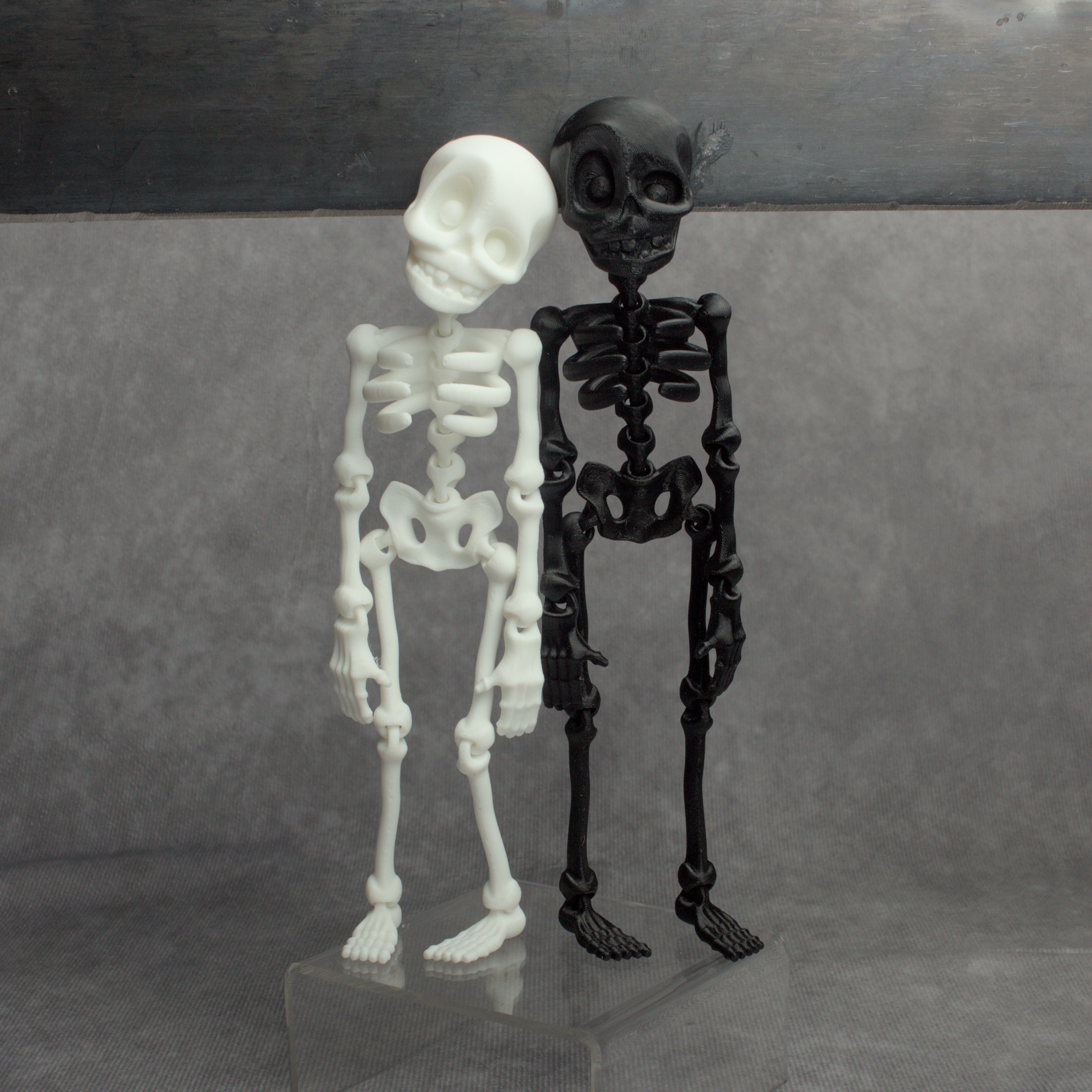 Skeledude Fidget & Magnet