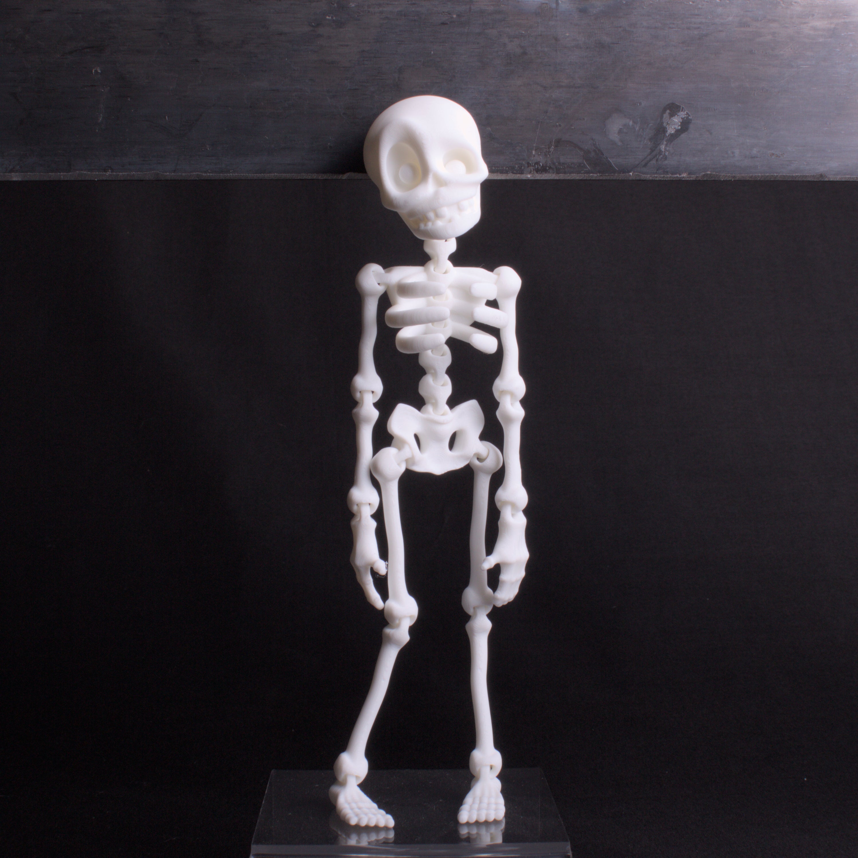 Skeledude Fidget & Magnet