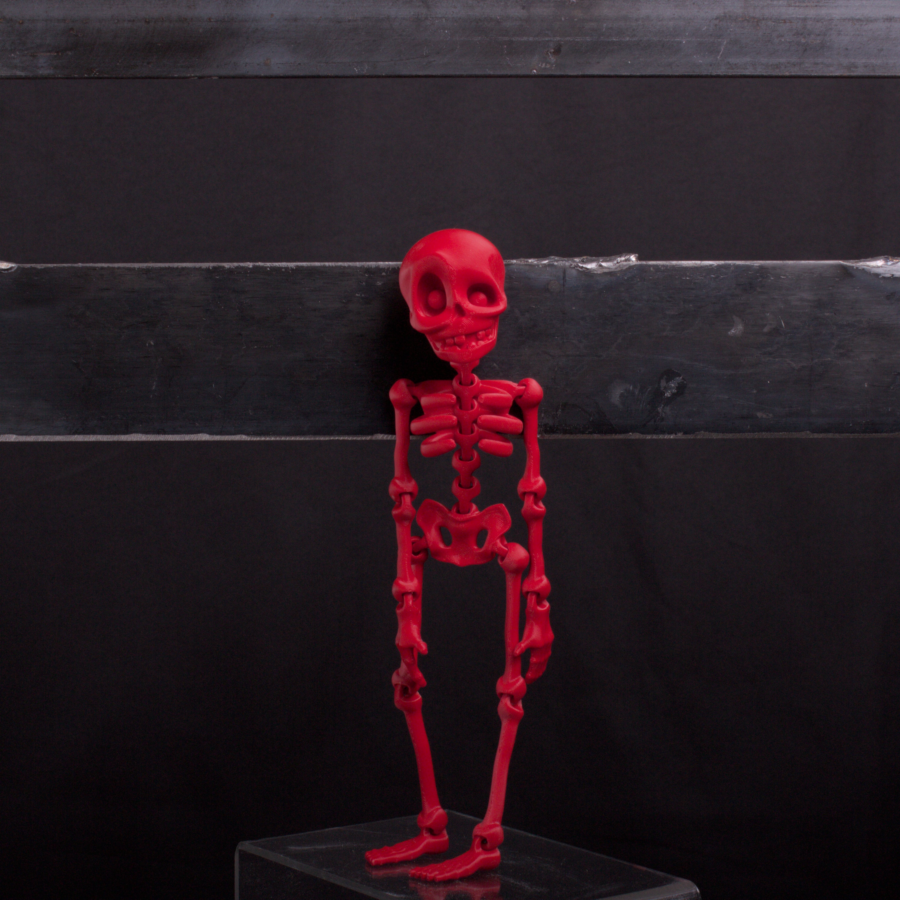 Skeledude Fidget & Magnet