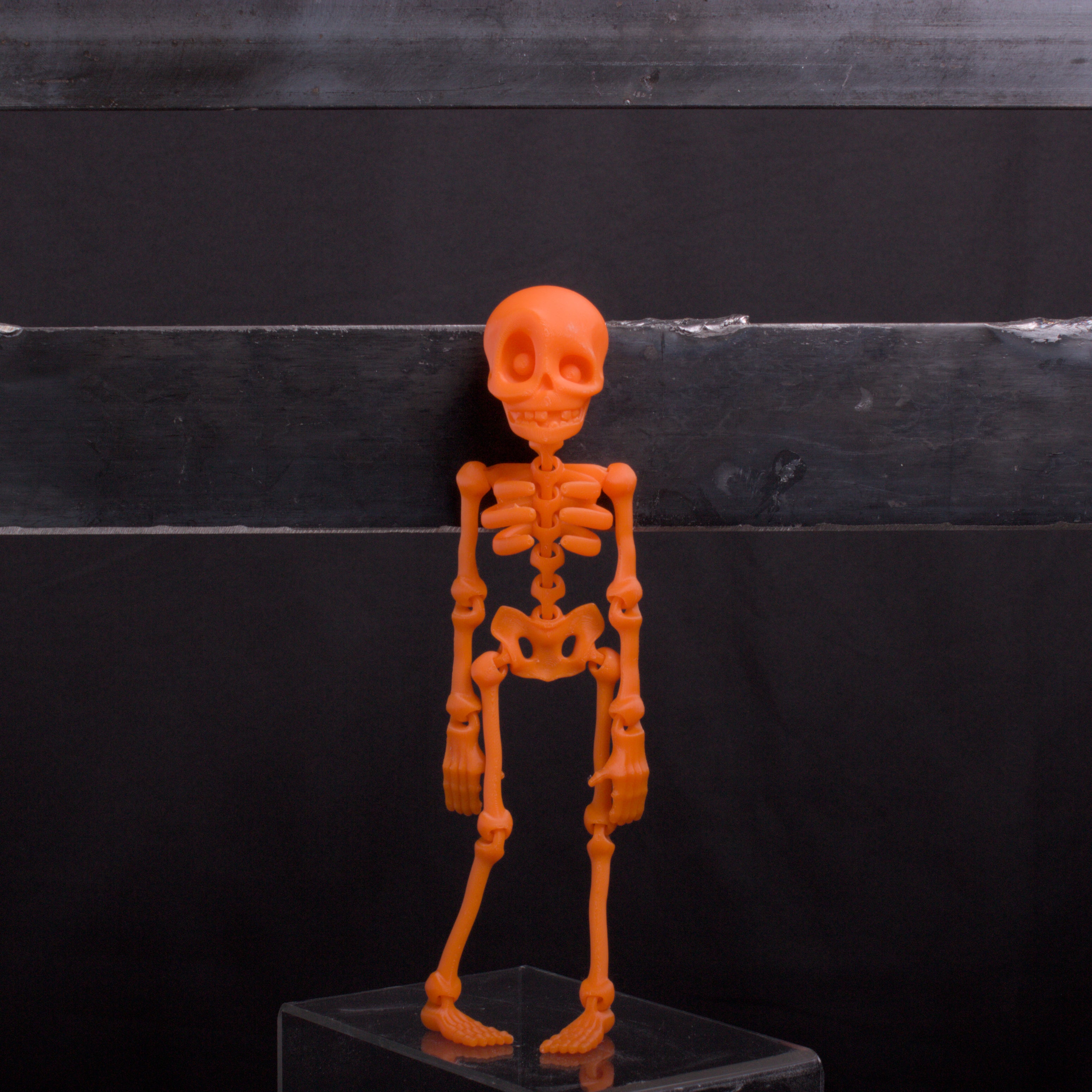 Skeledude Fidget & Magnet