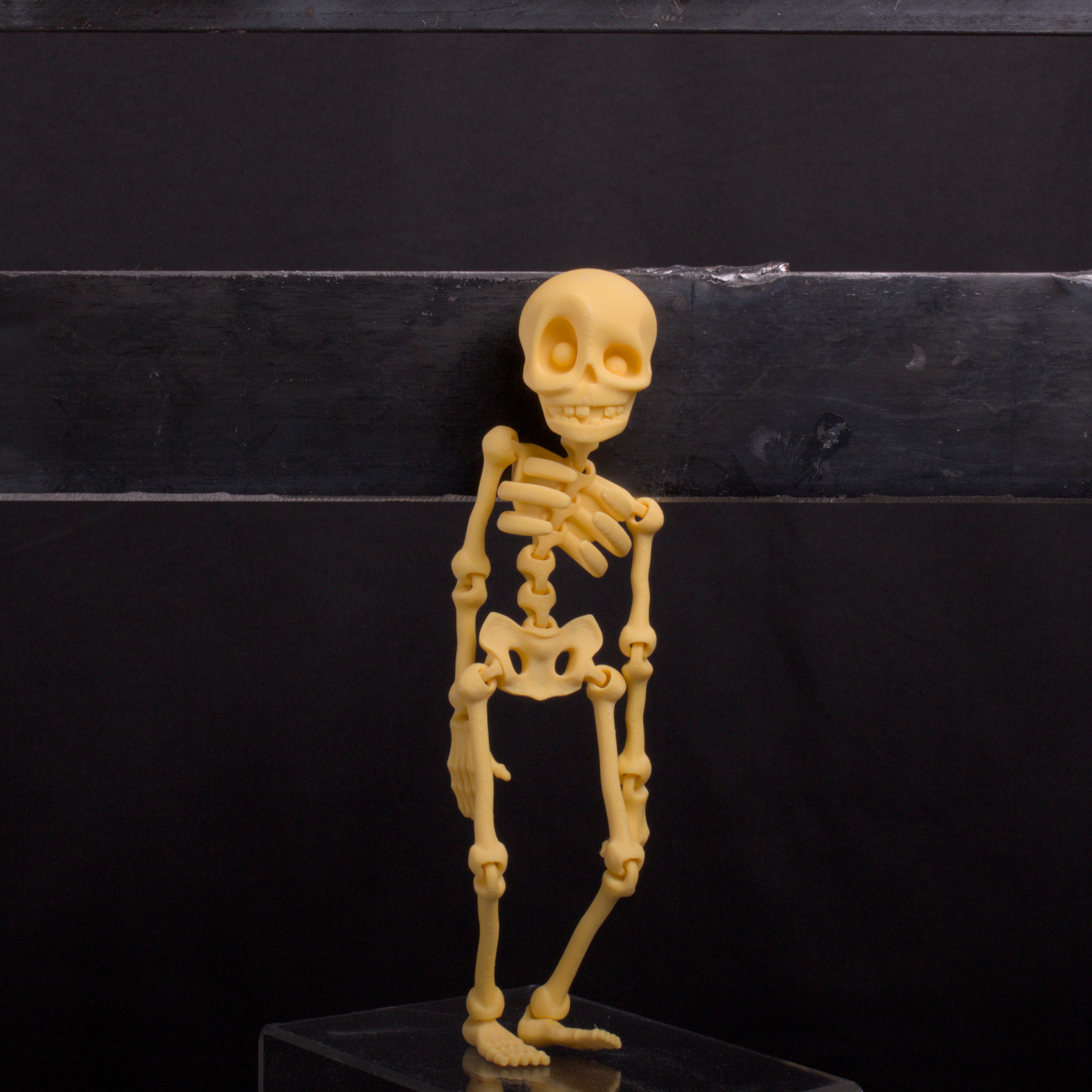 Skeledude Fidget & Magnet