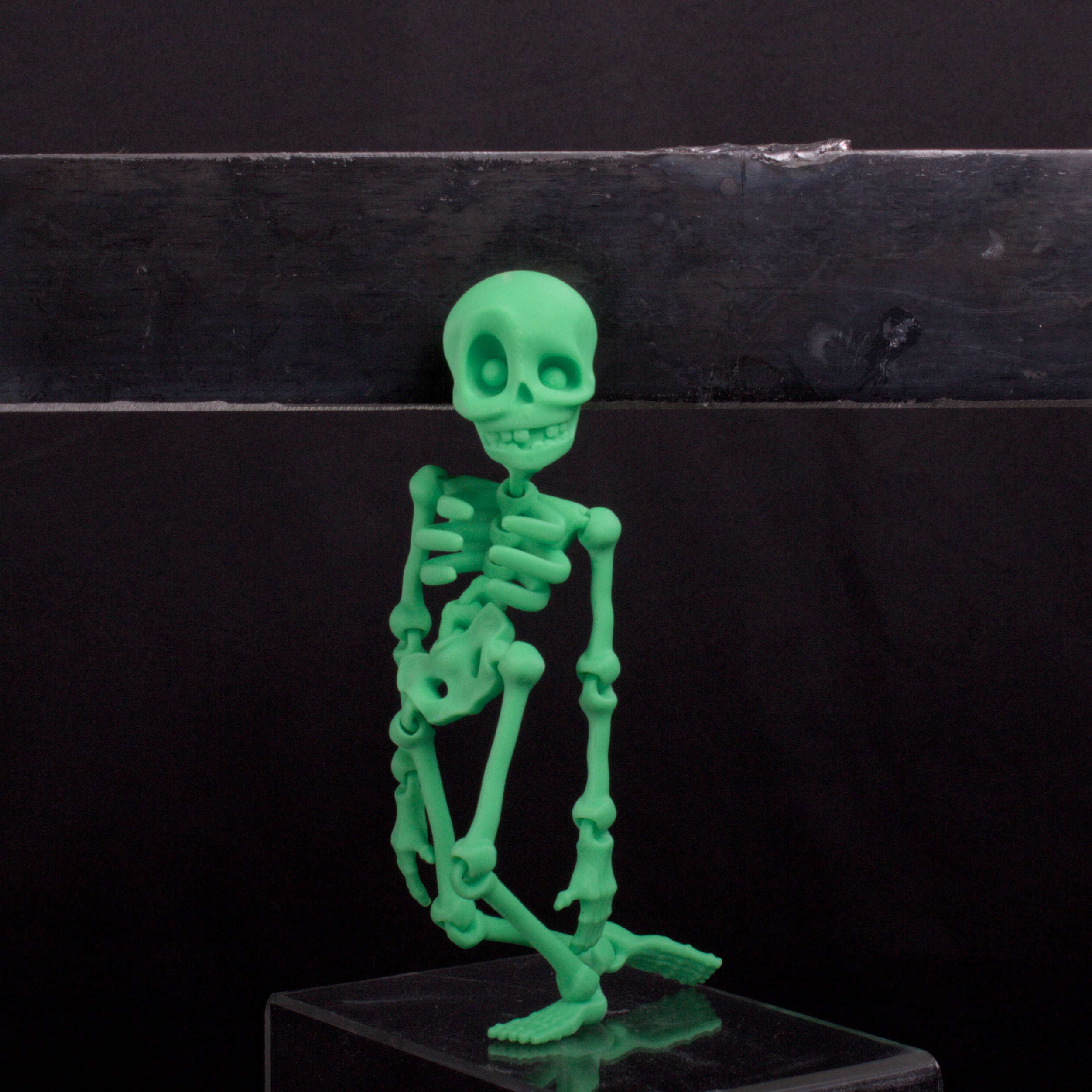 Skeledude Fidget & Magnet