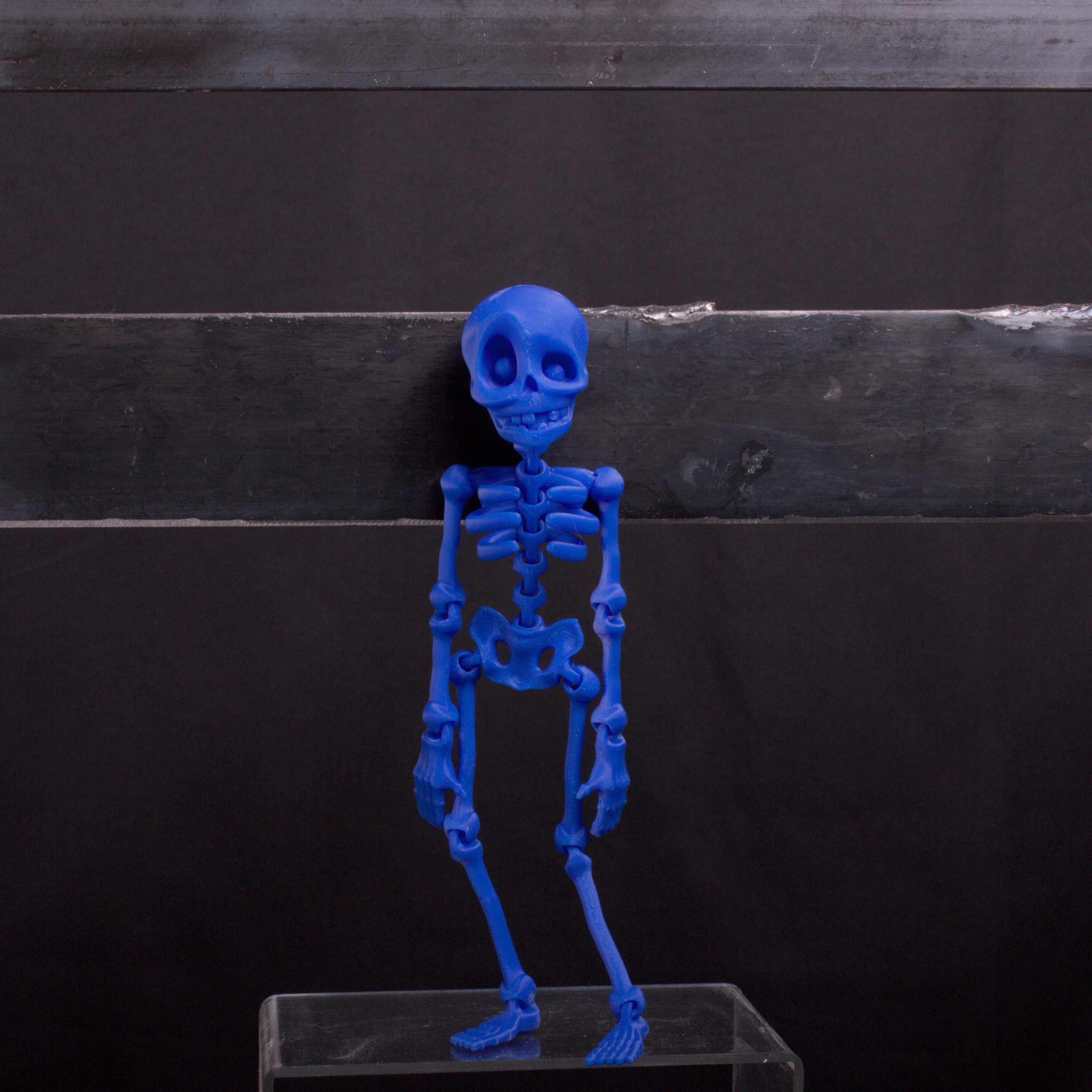 Skeledude Fidget & Magnet