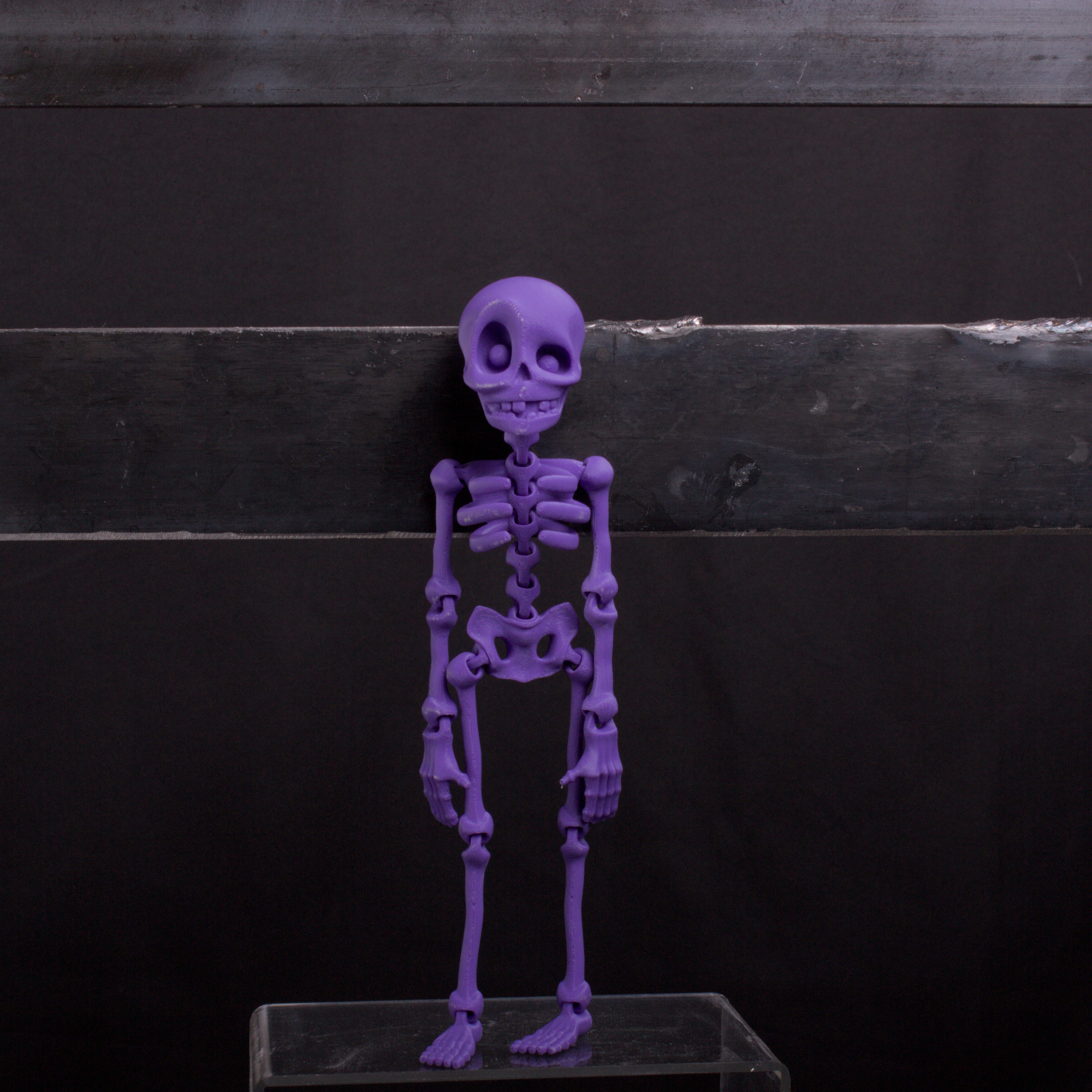 Skeledude Fidget & Magnet