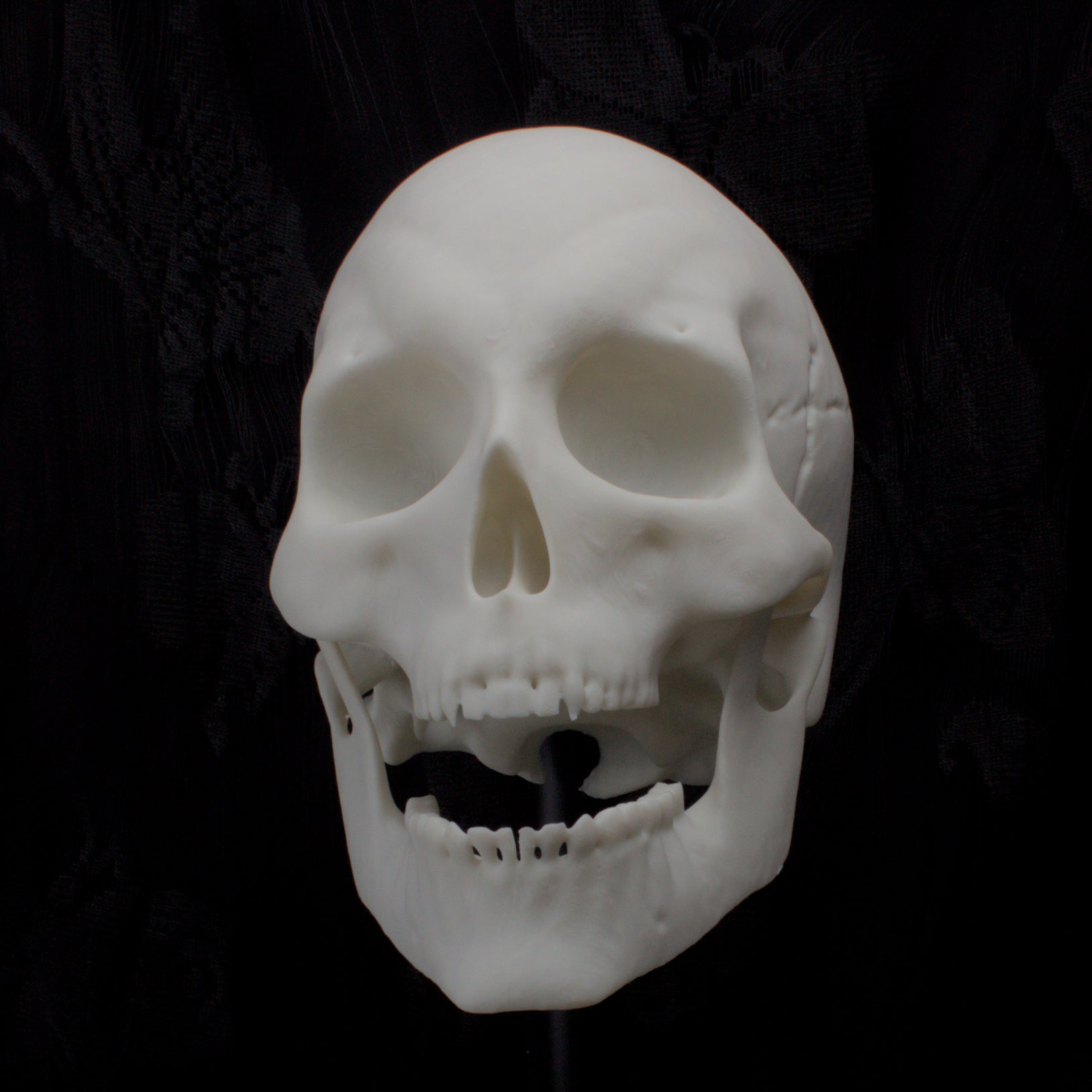 Wall Mounted Skull and Skeleton Hands