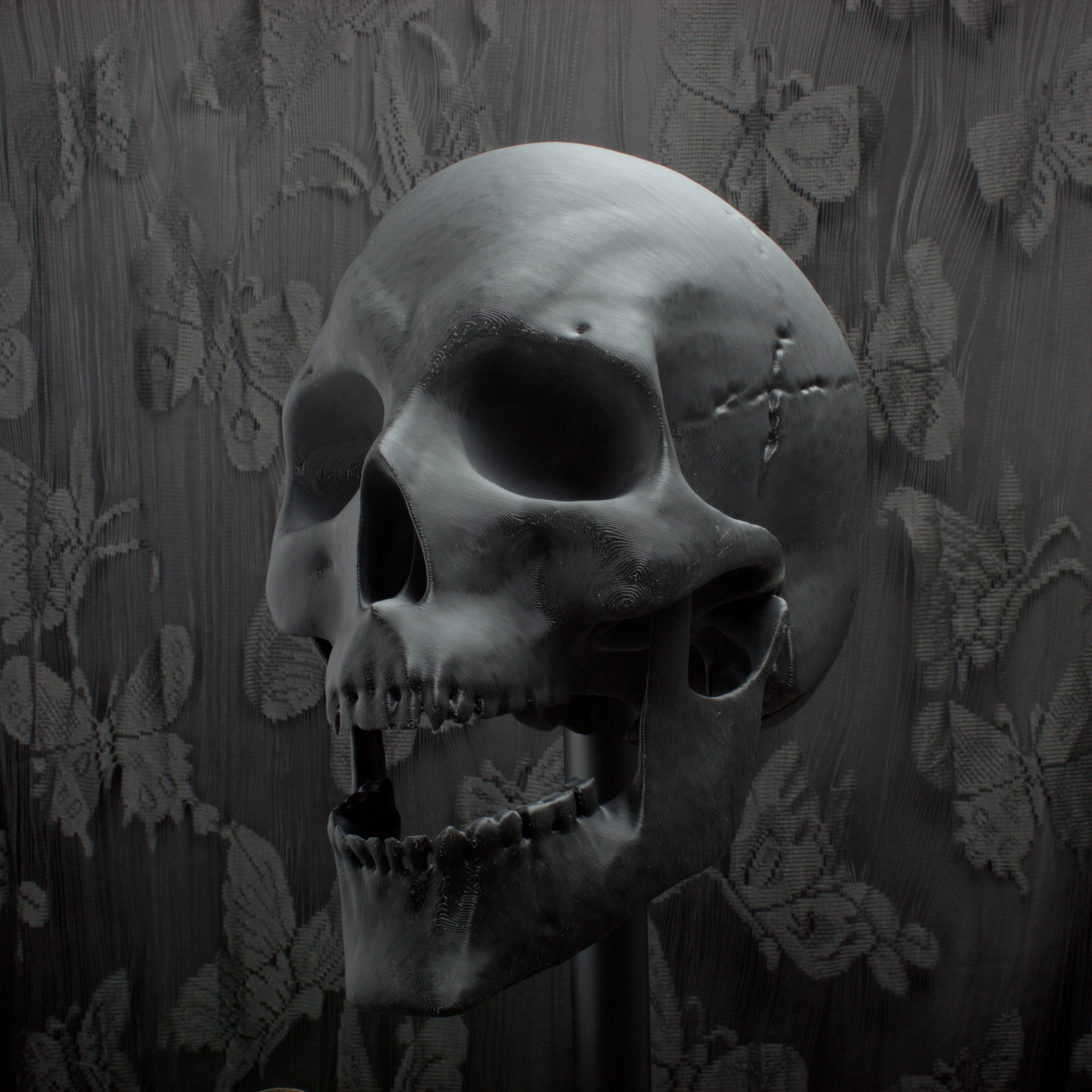 Wall Mounted Skull and Skeleton Hands