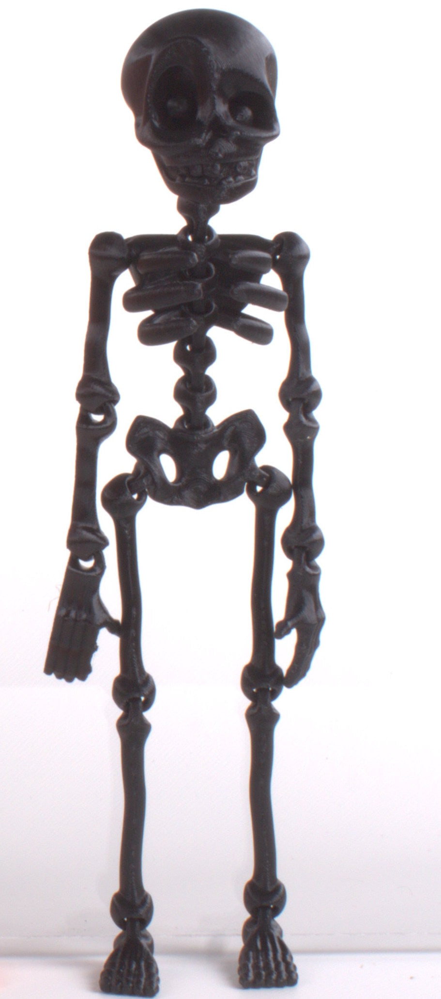 Skeledude Fidget & Magnet