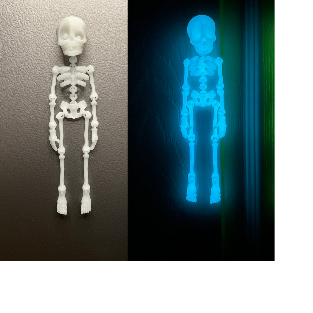 Skeledude Fidget & Magnet