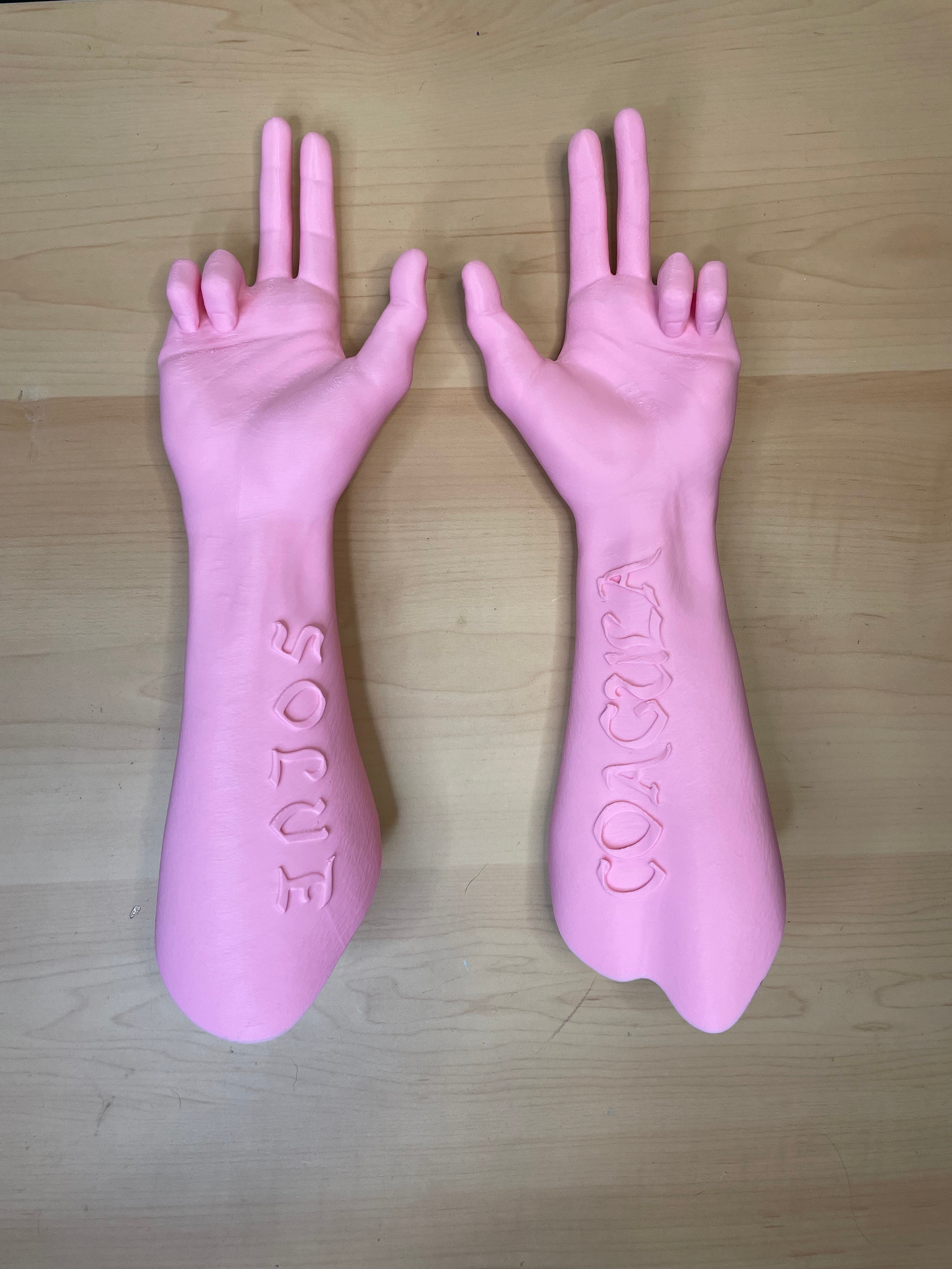 Wall-mounted Baphy head and hands